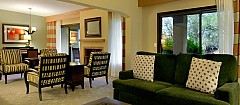 hilton-e-full