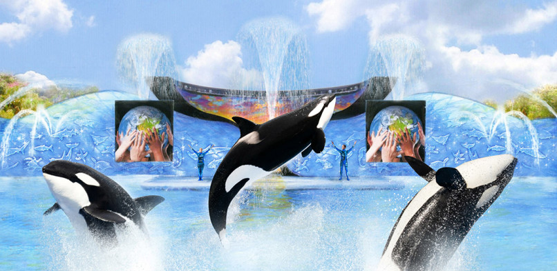 SEA WORLD San Diego