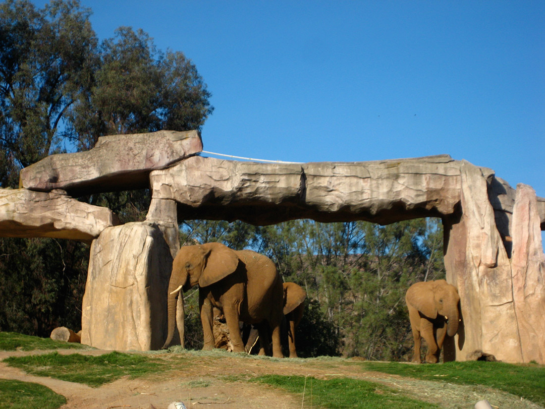 The San Diego Zoo