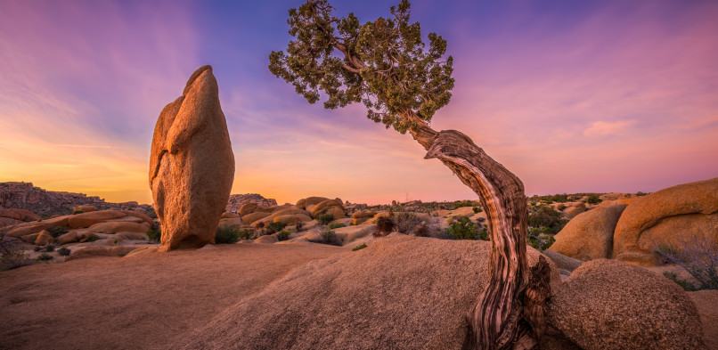 JOSHUA TREE NATIONAL PARK