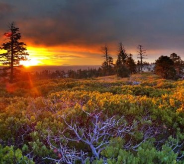 brycecanyon