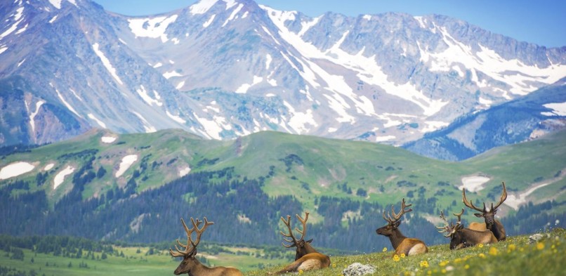 ROCKY MOUNTAIN NATIONAL PARK