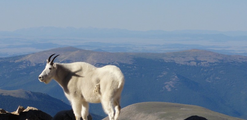 Mount Evans