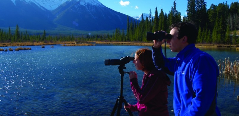 Banff and its Wildlife