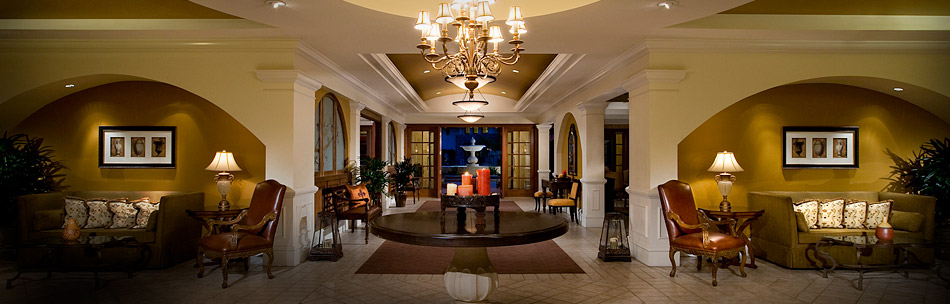 Terms and Conditions