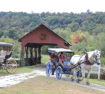 stowe horse carraig