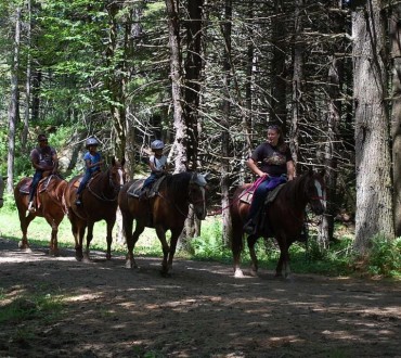 stowe horseback ridiing