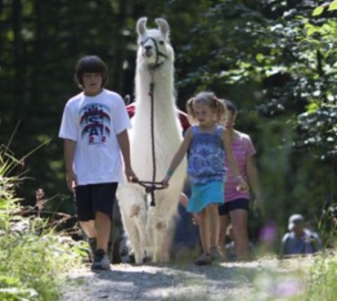 stowe llama trekking