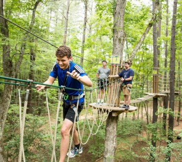 stowe tree top