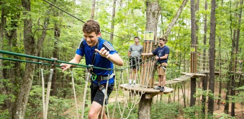 Treetop Adventure