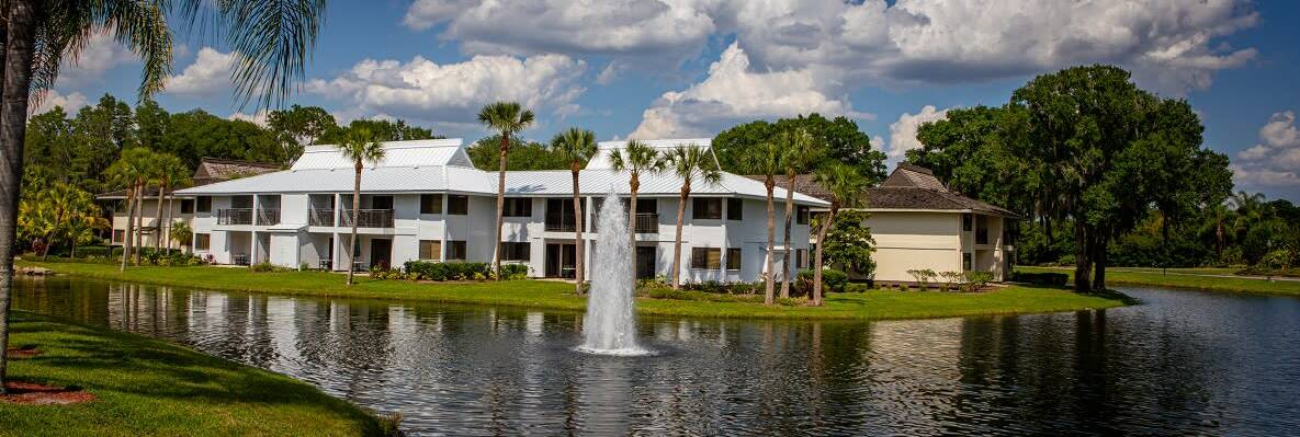 Saddlebrook